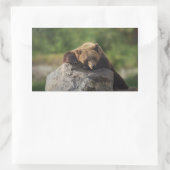 Sticker Rectangulaire ours (Sac)
