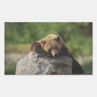 Sticker Rectangulaire ours 
