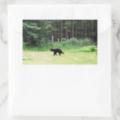 Sticker Rectangulaire Ours noir (Sac)