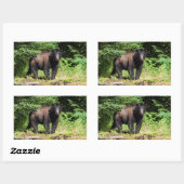 Sticker Rectangulaire Ours noir Alpha (Feuille)