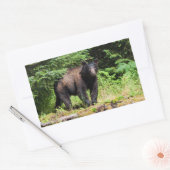 Sticker Rectangulaire Ours noir Alpha (Enveloppe)