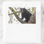 Sticker Rectangulaire Ours noir Escalade (Sac)