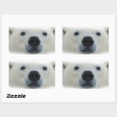 Sticker Rectangulaire Ours polaire (Feuille)