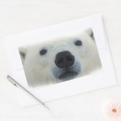 Sticker Rectangulaire Ours polaire (Enveloppe)