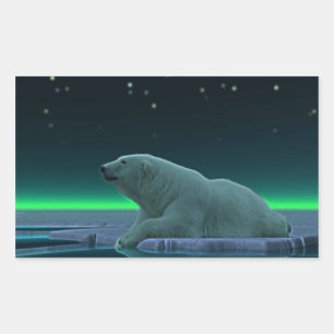Sticker Rectangulaire Ours polaire à bord de glace