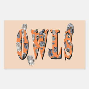 Sticker Rectangulaire Owls Est Le Nom,