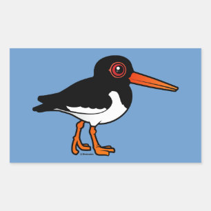 Sticker Rectangulaire Oystercatcher eurasien