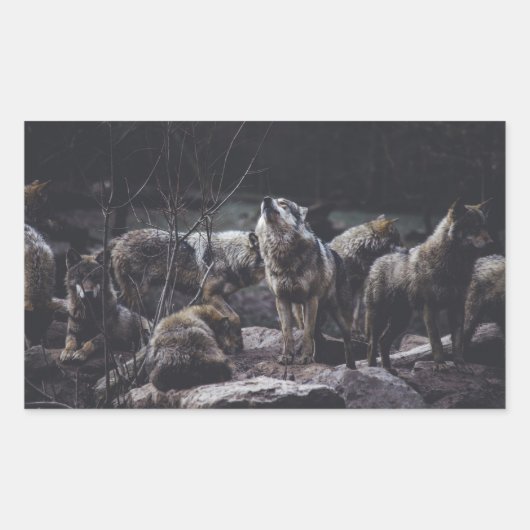 Sticker Rectangulaire Pack Wolf (Devant)