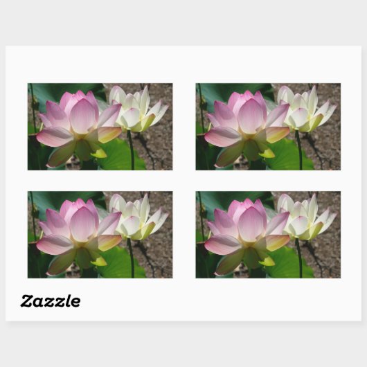 Sticker Rectangulaire Pair de Lotus (Feuille)