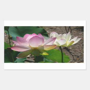 Sticker Rectangulaire Pair de Lotus