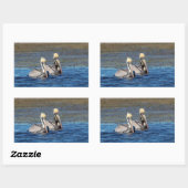 Sticker Rectangulaire Paire de pélicans (Feuille)
