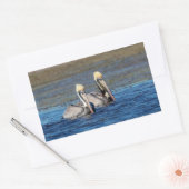 Sticker Rectangulaire Paire de pélicans (Enveloppe)