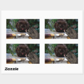 Sticker Rectangulaire Paix ! (Feuille)