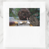 Sticker Rectangulaire Paix ! (Sac)