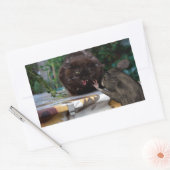 Sticker Rectangulaire Paix ! (Enveloppe)