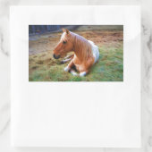 Sticker Rectangulaire Palomino Pinto Cheval Repose d'oeuvres (Sac)