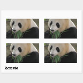 Sticker Rectangulaire Panda Bear Hugs (Feuille)