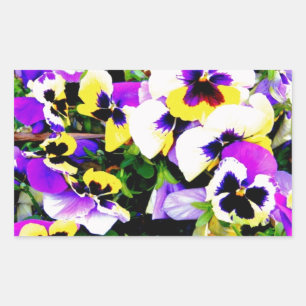 Sticker Rectangulaire pansy flowers