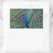 Sticker Rectangulaire Paon mâle coloré (Sac)
