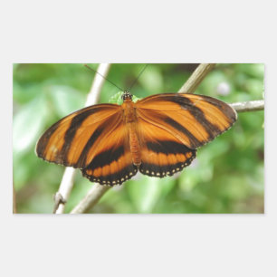 Sticker Rectangulaire Papillon à rayures de tigre