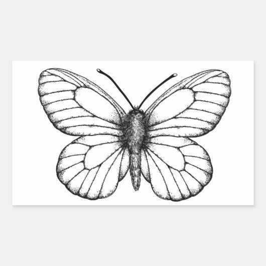 Sticker Rectangulaire Papillon blanc à veine noire (Devant)