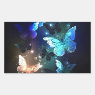 Sticker Rectangulaire Papillon de nuit