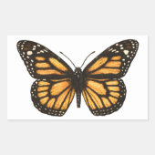 Sticker Rectangulaire Papillon monarque (Devant)