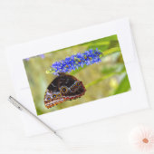 Sticker Rectangulaire Papillon morpho bleu sur une orchidée de marais (Enveloppe)