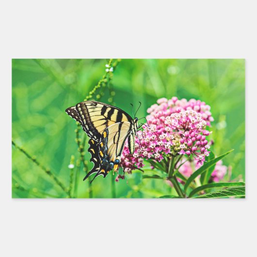 Sticker Rectangulaire Papillon oriental de machaon de tigre (Devant)