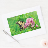Sticker Rectangulaire Papillon oriental de machaon de tigre (Enveloppe)