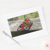Sticker Rectangulaire Papillon Peacock (Enveloppe)