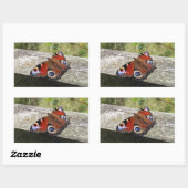Sticker Rectangulaire Papillon Peacock (Feuille)