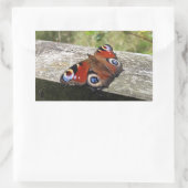 Sticker Rectangulaire Papillon Peacock (Sac)