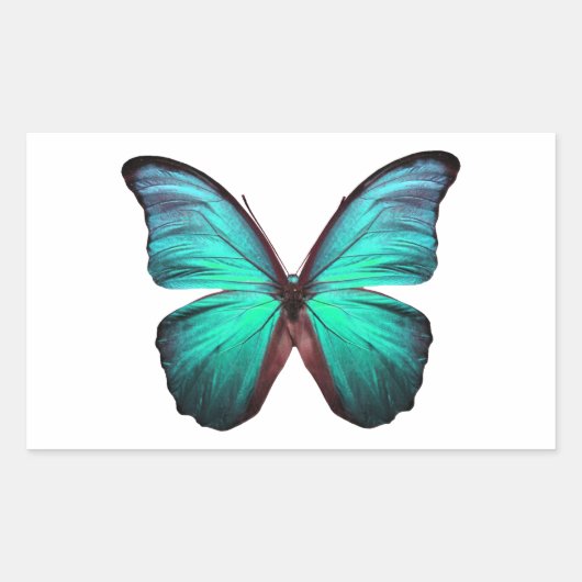 Sticker Rectangulaire Papillon Turquoise brillant (Devant)