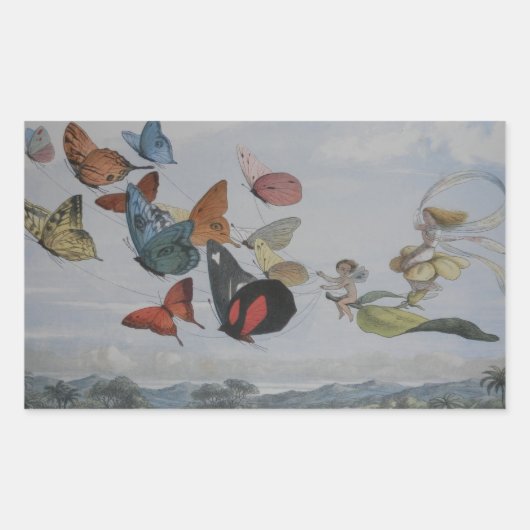 Sticker Rectangulaire Papillons et papillons de la reine des fées (Devant)