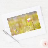 Sticker Rectangulaire Parc national des volcans d'orchidées tropicales d (Enveloppe)