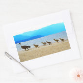 Sticker Rectangulaire Patrol Canada Oies (Enveloppe)