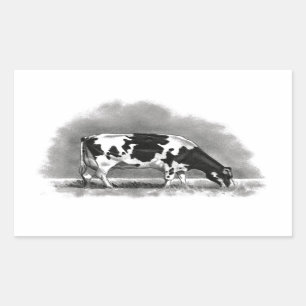 Sticker Rectangulaire Pâturage de vache du Holstein : Dessin au crayon