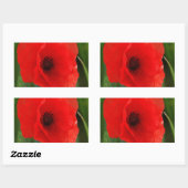 Sticker Rectangulaire Pavot (Feuille)