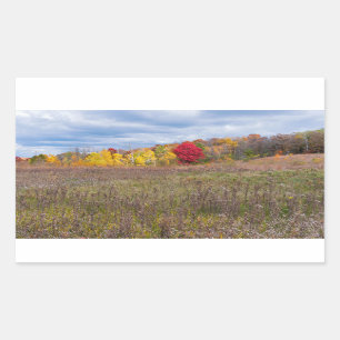 Sticker Rectangulaire paysage des prairies en automne au parc d'état aft