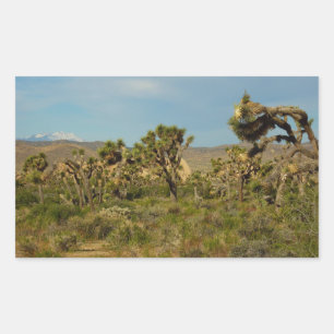 Sticker Rectangulaire Paysage désertique du parc national de Joshua Tree