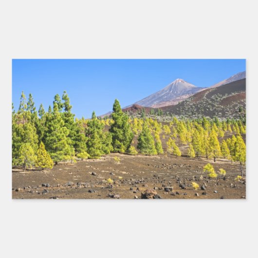 Sticker Rectangulaire Paysage du parc national Teide à Tenerife (Devant)