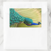 Sticker Rectangulaire Peacock bleu dans l'herbe (Sac)