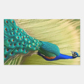 Sticker Rectangulaire Peacock bleu dans l'herbe (Devant)