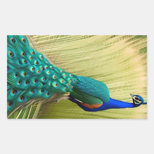 Sticker Rectangulaire Peacock bleu dans l'herbe (Devant)