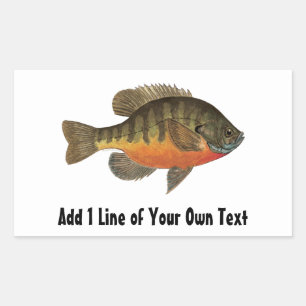 Sticker Rectangulaire Pêche à la brèche