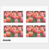 Sticker Rectangulaire Pêche et tulipes roses (Feuille)