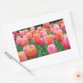 Sticker Rectangulaire Pêche et tulipes roses (Enveloppe)