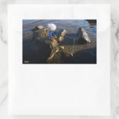 Sticker Rectangulaire Pêche Fubby sur une pierre. (Sac)