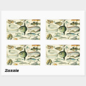 Sticker Rectangulaire Pêche scientifique vintage (Feuille)